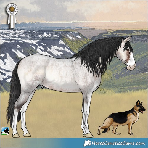 Horse Color:Brown Ice Roan Onyx Sabino Rabicano