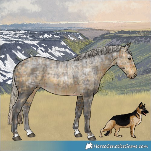 Horse Color:Plaid  Silver Buckskin Ice 