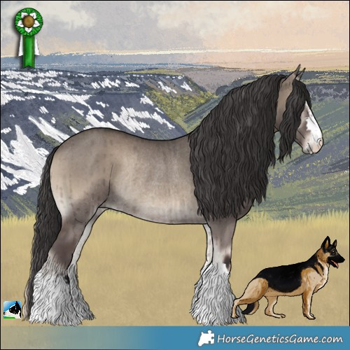 Horse Color:Smoky Grullo Onyx Rabicano Brindle 