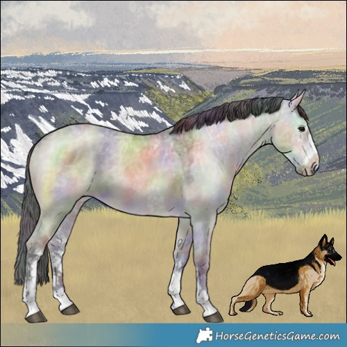 Horse Color:Nacre Brown Ice Dun Sabino 