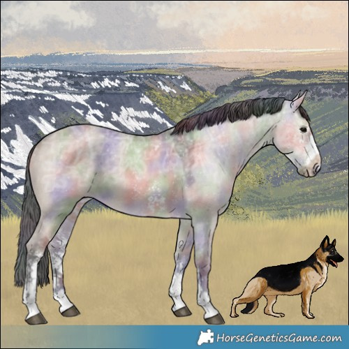 Horse Color:Nacre Brown Ice Dun Sabino