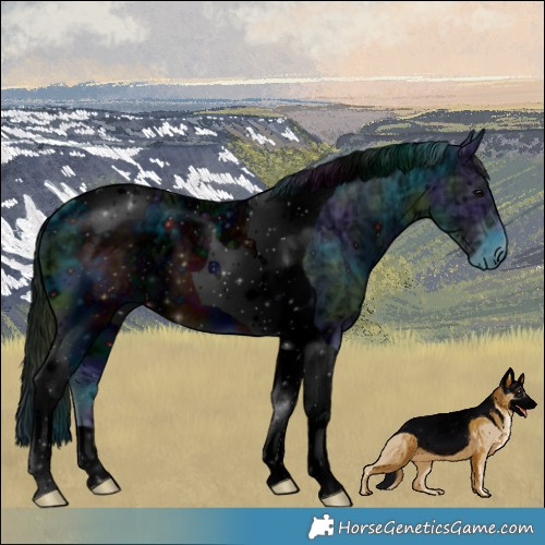 Horse Color:ERROR: UNKNOWN ANOMALY