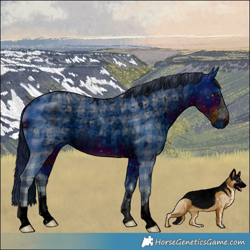 Horse Color:ERROR: UNKNOWN ANOMALY