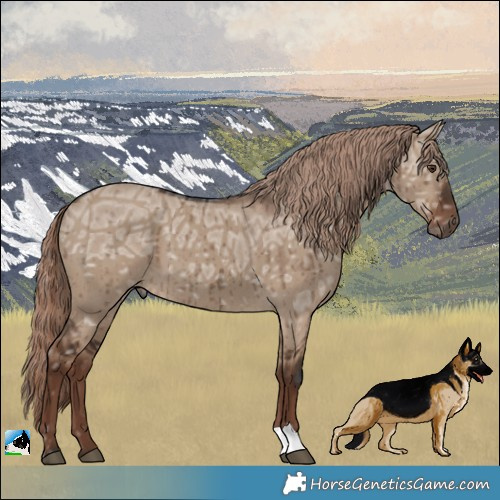Horse Color:Liver Red Dun Ice Brindle 