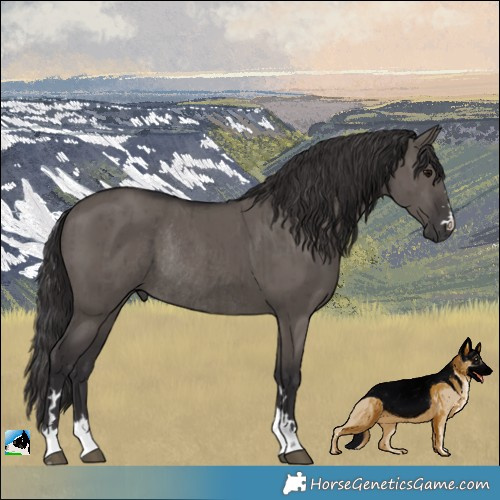 Horse Color:Smoky Grullo Rabicano Brindle 