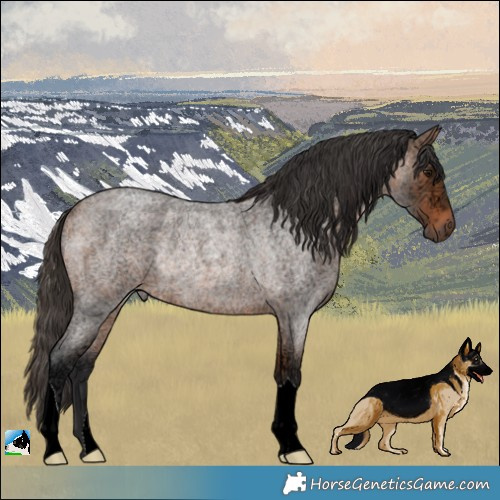 Horse Color:Bay Ice Roan Rabicano 
