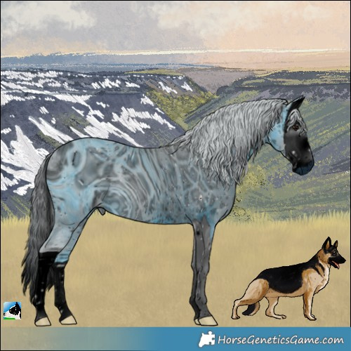 Horse Color:ERROR: UNKNOWN ANOMALY