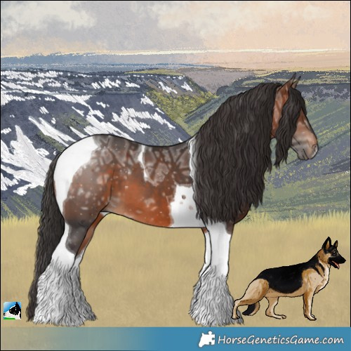 Horse Color:Brown Ice Tobiano