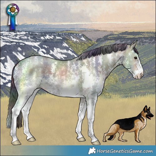 Horse Color:Nacre Brown Ice Sabino 