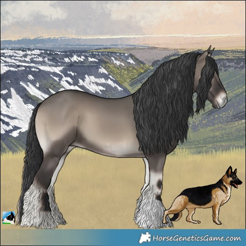 Horse Color:Grullo Onyx 
