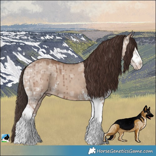 Horse Color:Classic Champagne Ice Dun Sabino Brindle