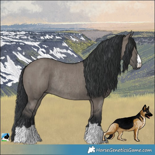 Horse Color:Grullo Rabicano Brindle 