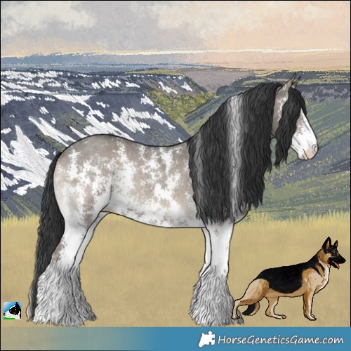 Horse Color:Grullo Onyx Sabino