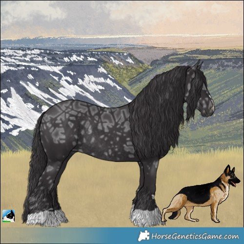Horse Color:Smoky Black Ice Rabicano 