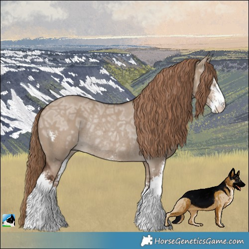 Horse Color:Liver Red Dun Ice Sabino Rabicano
