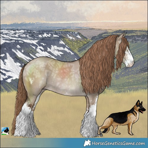 Horse Color:Liver Red Dun Ice Sabino Rabicano 