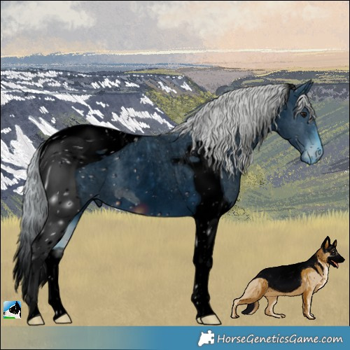 Horse Color:ERROR: UNKNOWN ANOMALY