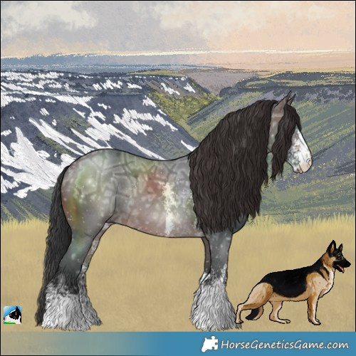 Horse Color:Brown Ice Sabino Rabicano 