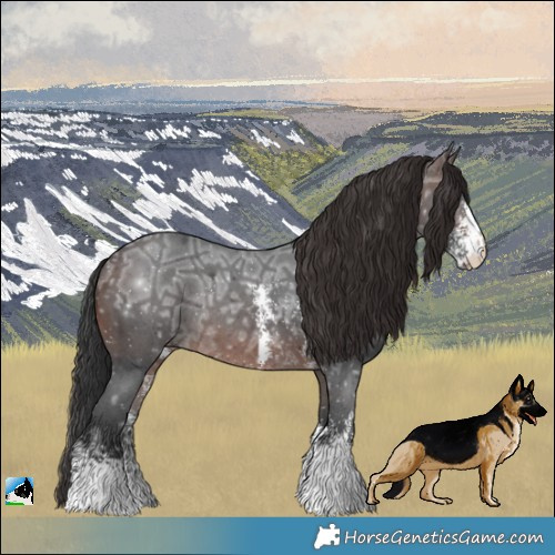 Horse Color:Brown Ice Sabino Rabicano 
