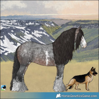 Horse Color:Brown Ice Sabino Rabicano