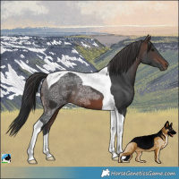 Horse Color:Brown Ice Tobiano