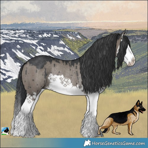 Horse Color:Grullo Splash Rabicano Brindle 