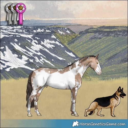 Horse Color:White Spotted Amber Champagne Frame