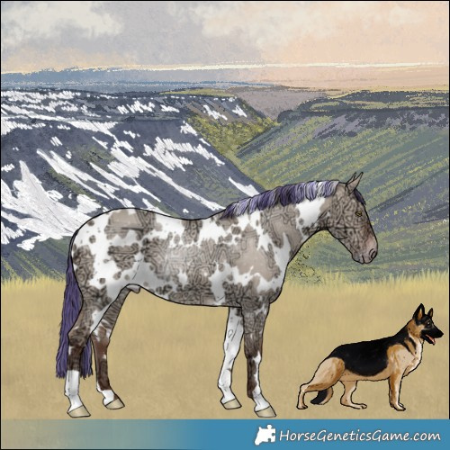 Horse Color:Painted White Spotted Sable Champagne Ice Dun