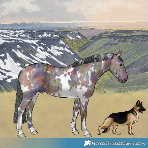 Horse Color:Nacre White Spotted Brown Dun Brindle