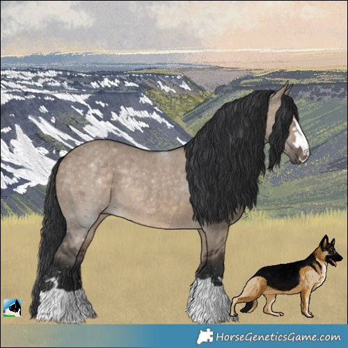 Horse Color:Brown Dun Rabicano