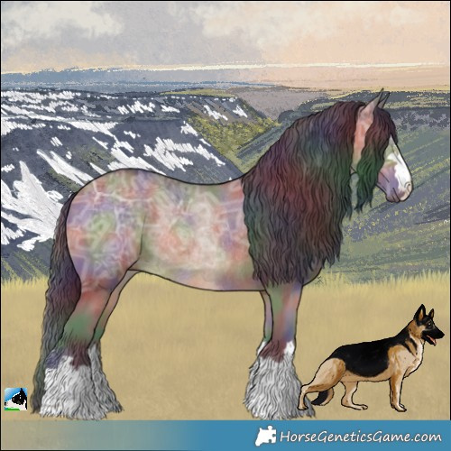 Horse Color:Nacre Brown Ice Dun Rabicano 