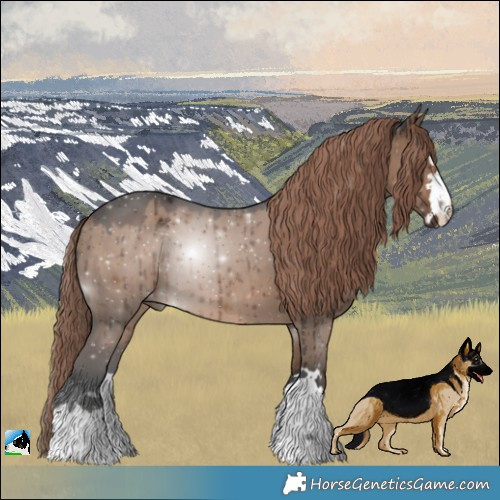 Horse Color:Liver Red Dun Brindle 