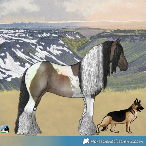 Horse Color:Brown Dun Tobiano 