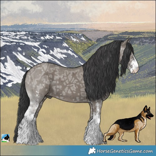 Horse Color:Grullo Ice Sabino Brindle 