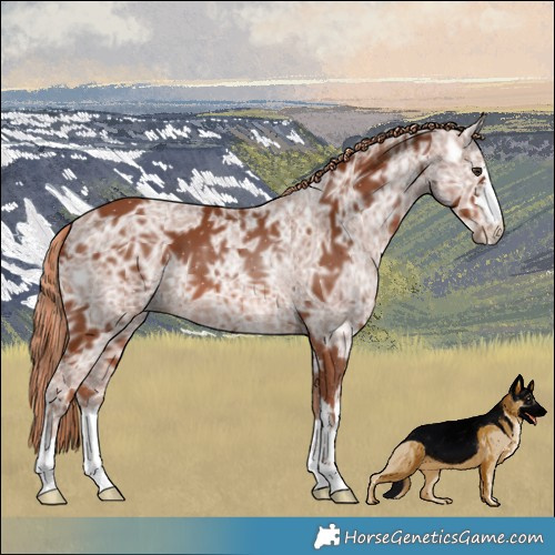 Horse Color:Chestnut Ice 
