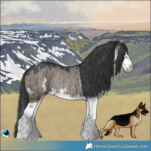 Horse Color:Grullo Sabino Splash Rabicano Brindle