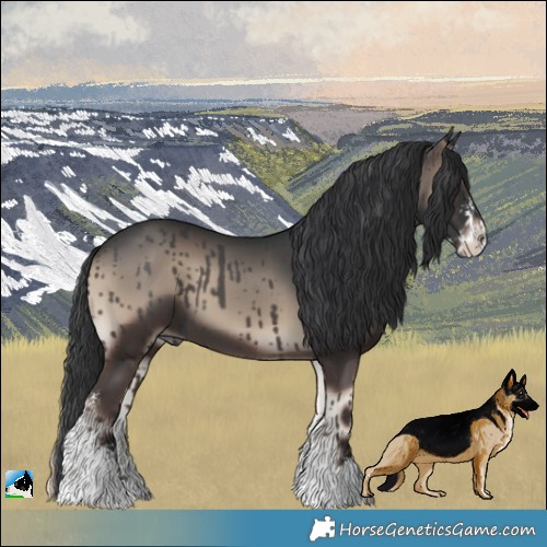 Horse Color:Blue Onyx Sabino 