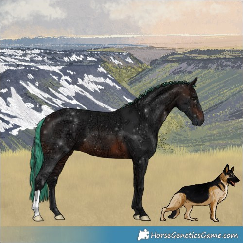 Horse Color:Painted Brown Ice