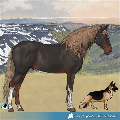 Horse Color:Liver Chestnut Tobiano Rabicano 
