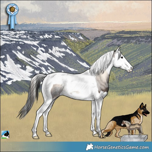 Horse Color:Brown Onyx Splash Tobiano 