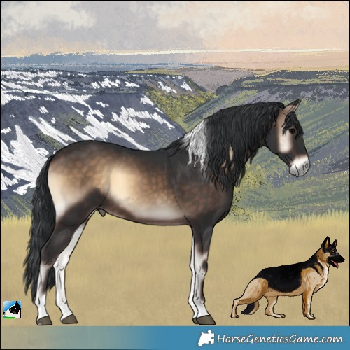Horse Color:Brown Onyx Tobiano Rabicano