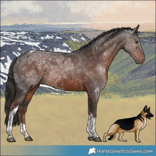 Horse Color:Liver Chestnut Ice Tobiano Rabicano 