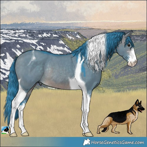 Horse Color:Watercolor Brown Dun Sabino Tobiano Rabicano 
