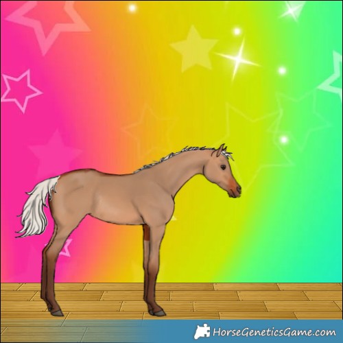 Horse Color:Silver Bay Dun Rabicano