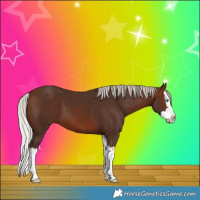 Horse Color:Silver Brown Splash 