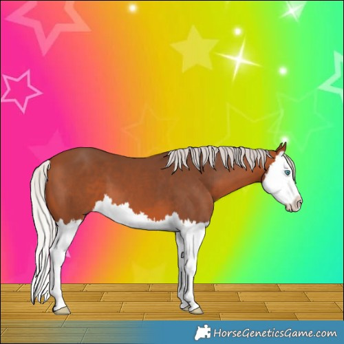 Horse Color:Silver Bay Splash 