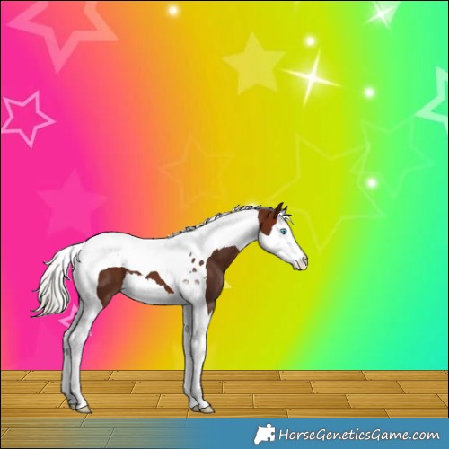 Horse Color:Silver Brown Splash Tobiano 