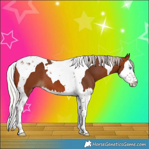Horse Color:Silver Brown Splash Tobiano