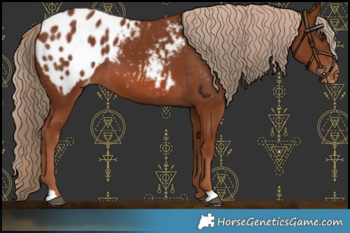 Horse Color:Chestnut Blanket 