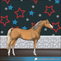 Horse Color:Palomino